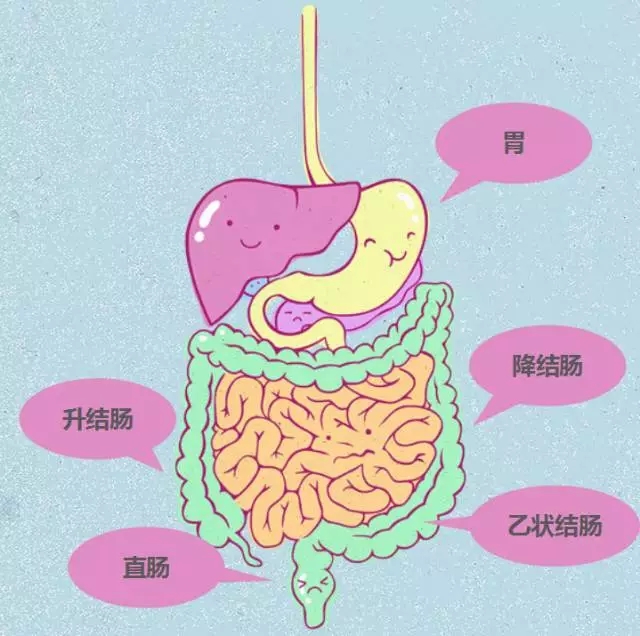 10种玩直肠的方法探索直肠的十种健康娱乐方式-第2张图片
