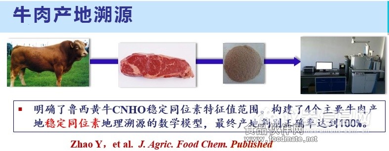 有机zz现在的网址探索有机zz的现代之旅，解析其现状与现今的网址
