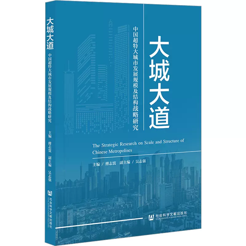 特大城市2011，城市发展的新篇章