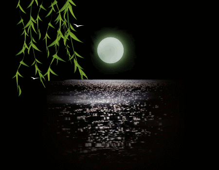 雨后故事动态图，一幅画中的生命交响曲-第2张图片