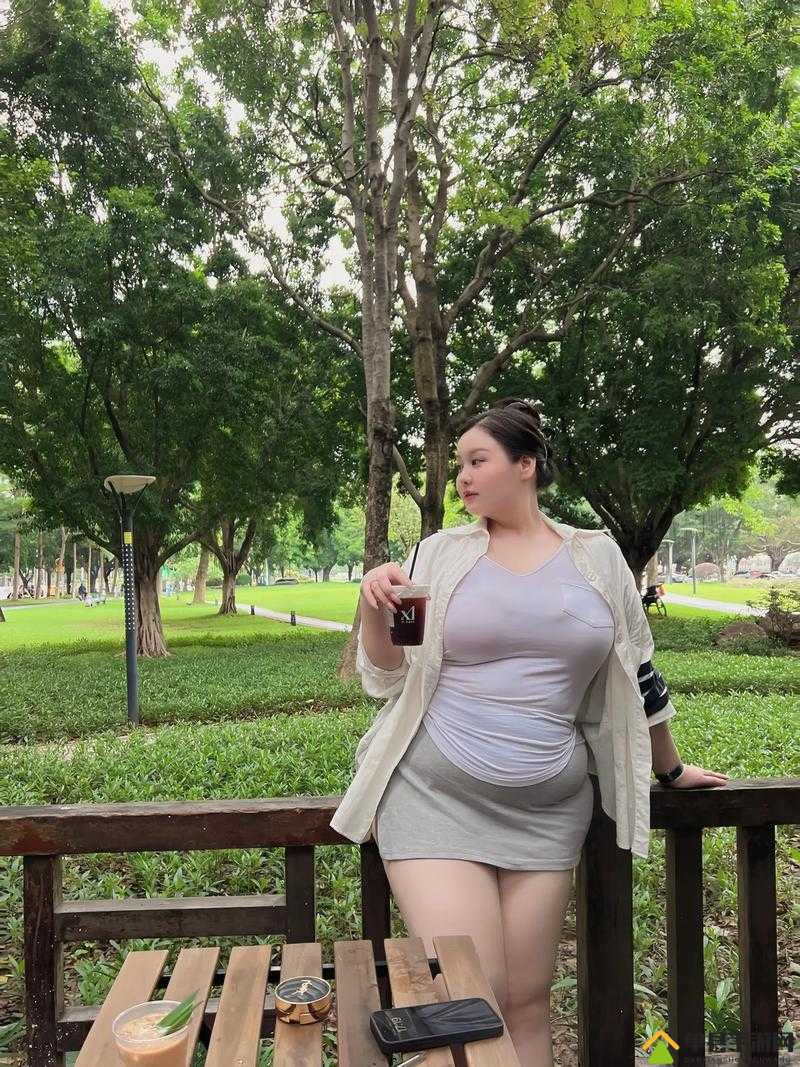 BBW 大全BBW大全，探索与理解