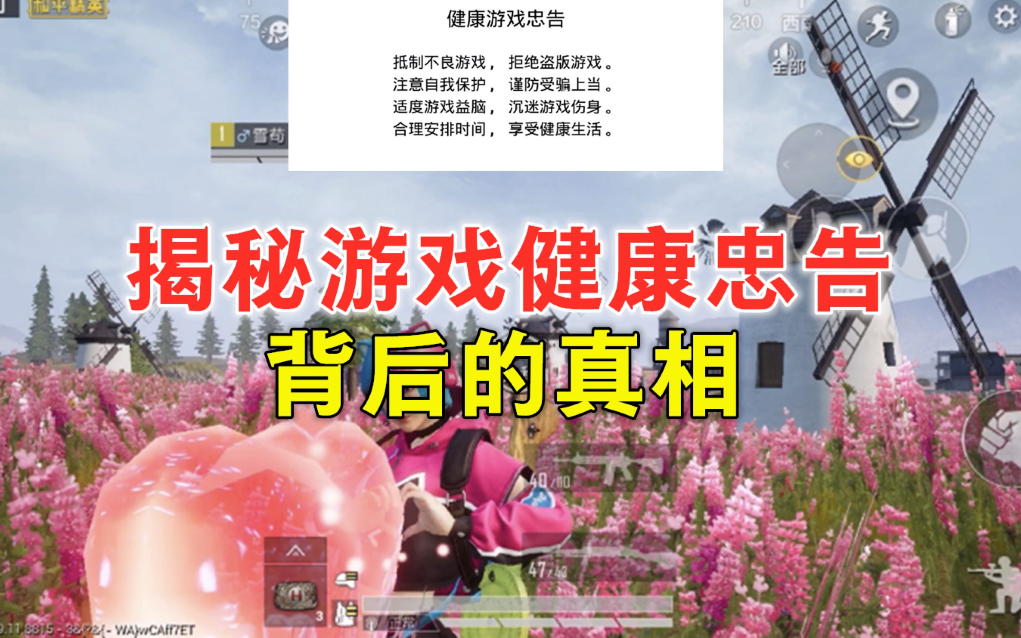 揭秘最污游戏背后的真相