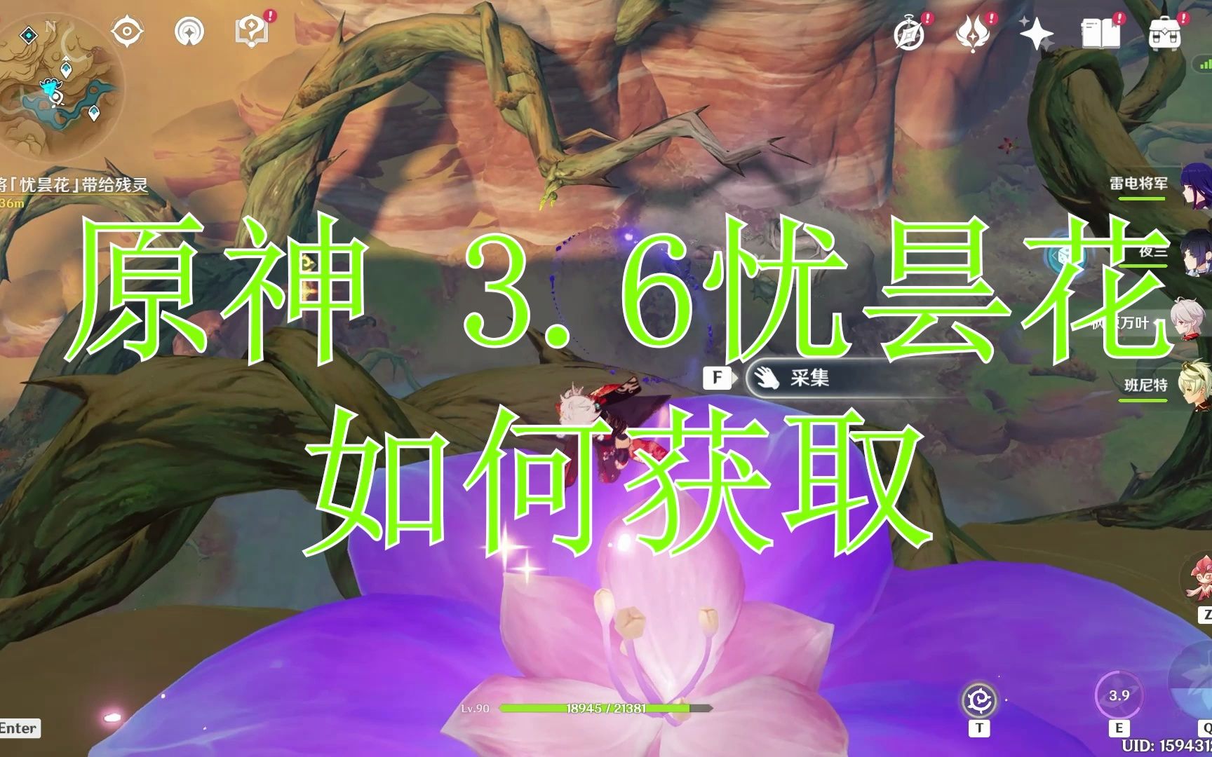 原神忧昙花在哪找原神忧昙花，绽放的传说与冒险之旅-第2张图片