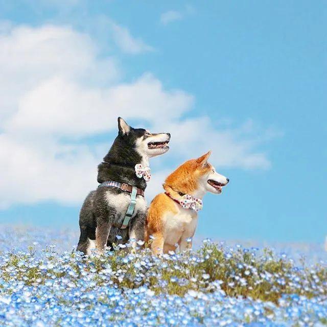 春暖花开哔哩哔哩春暖花开下的性教育探索——旧版入口的启示-第2张图片