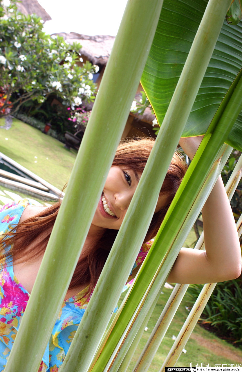 爱田奈奈别名是什么爱田奈，一份深深的情感与执着