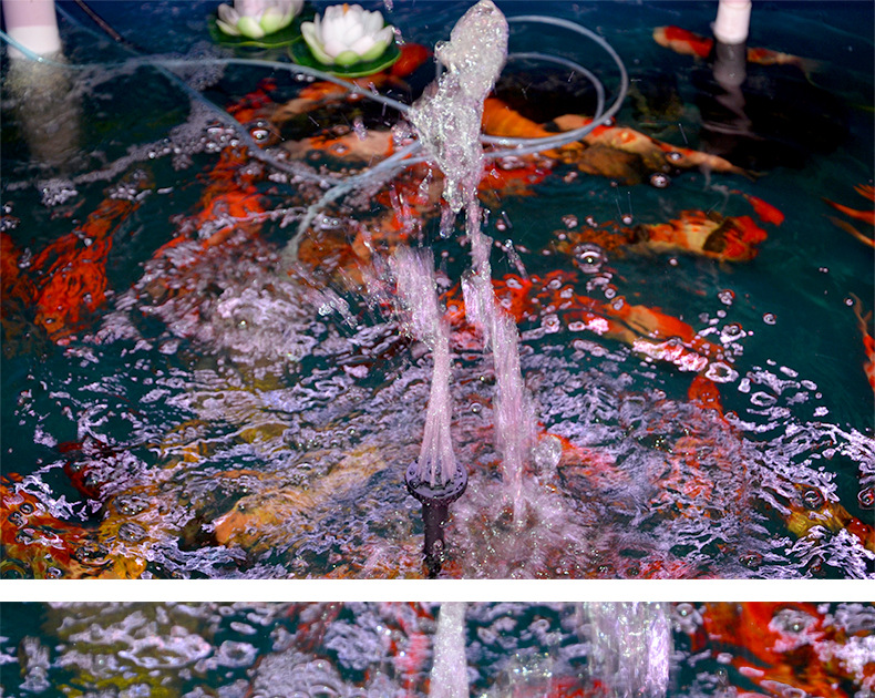 喷泉辛浮，H1V3H的魅力与故事