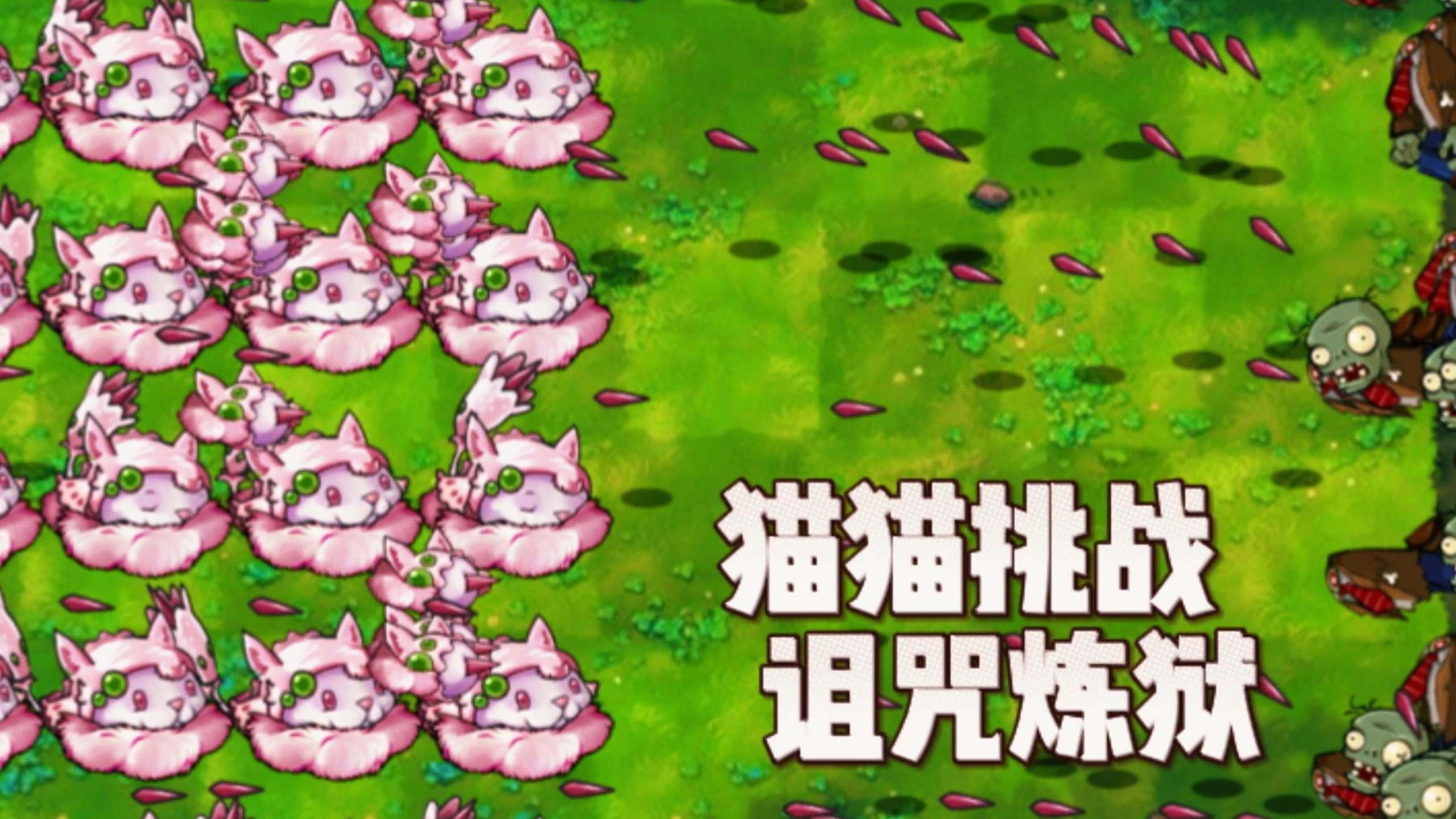魔法猫魔法猫，神秘的守护者-第1张图片