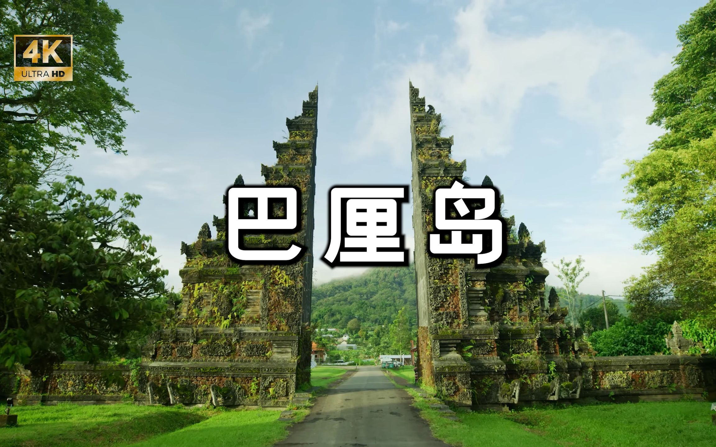 探索在线天堂网，WWW天堂在线的魅力与价值