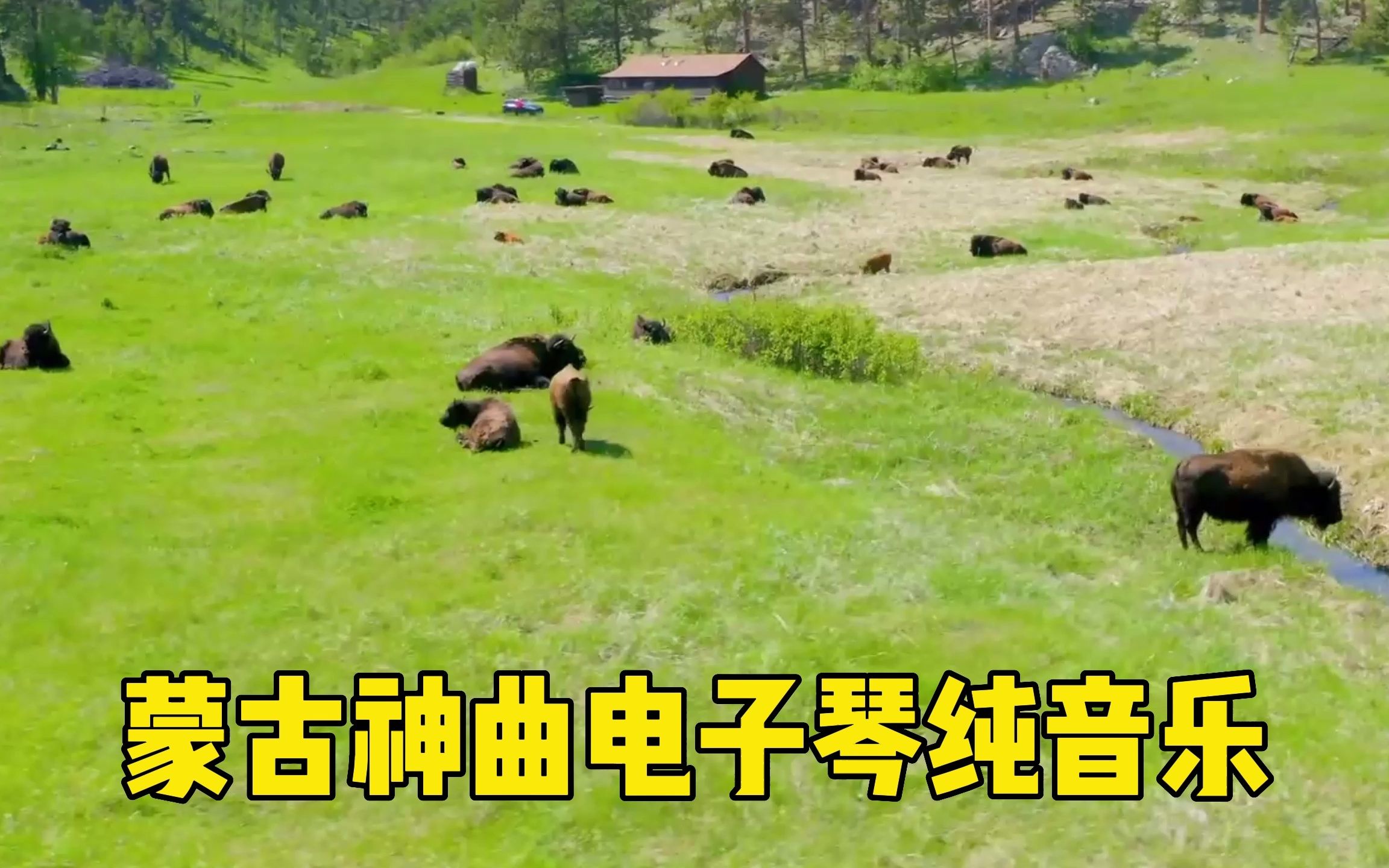 俄罗斯天籁之音维塔斯俄罗斯天籁之音，跨越国界的音乐魅力-第2张图片