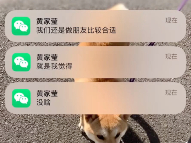 我们不合适1v1江瑾州免费我们不合适——江瑾州的故事-第2张图片