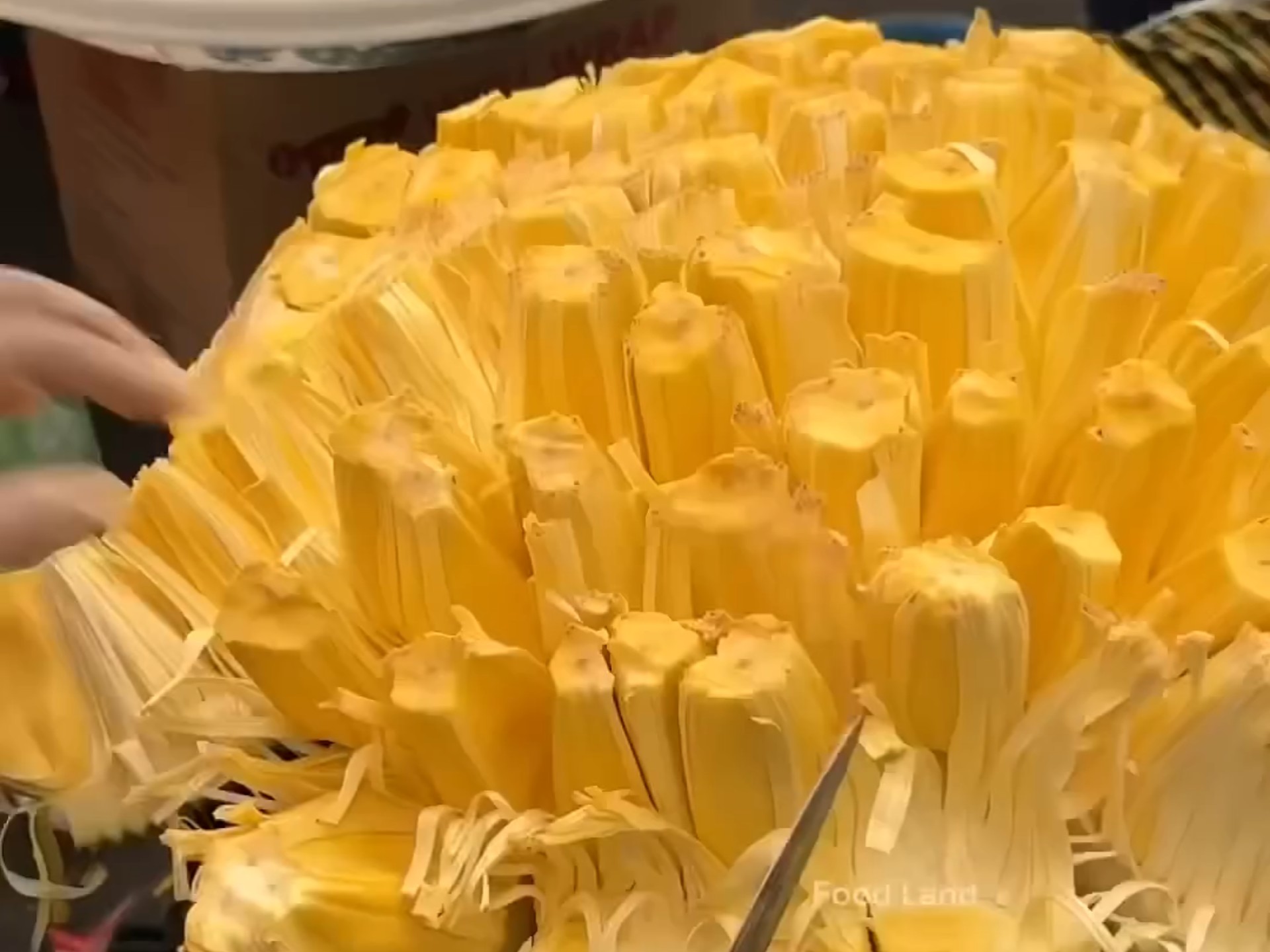 菠萝蜜视频观看渠道2菠萝蜜视频内容分析与网络资源获取的正确途径-第2张图片
