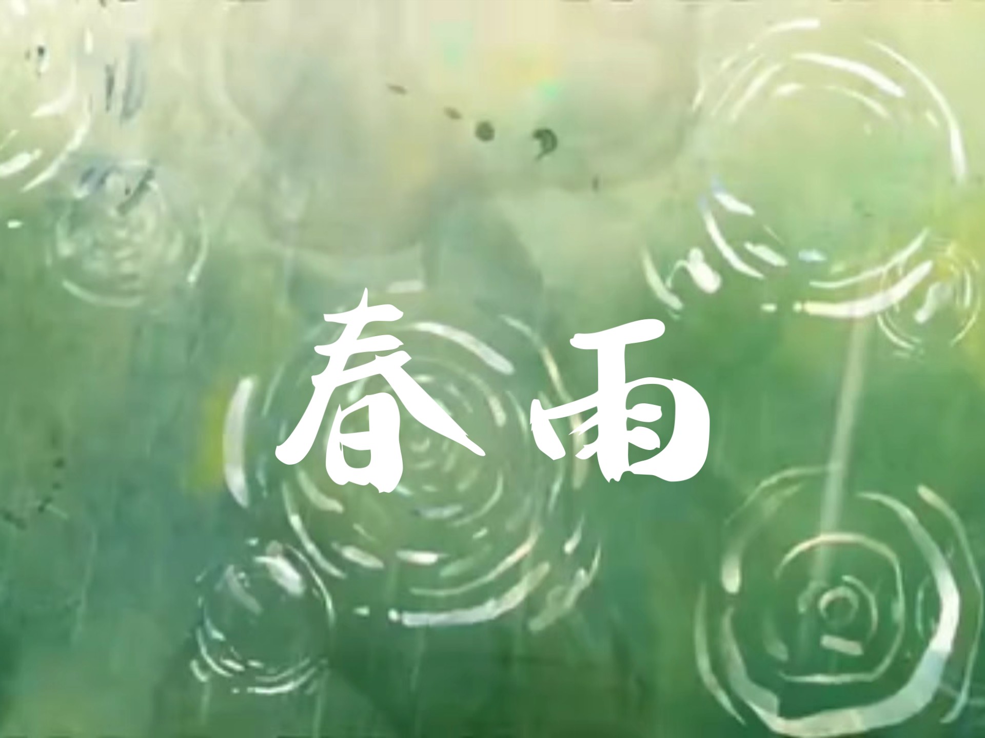 春雨直播APP免费观看视频春雨直播APP，免费观看视频的全新体验