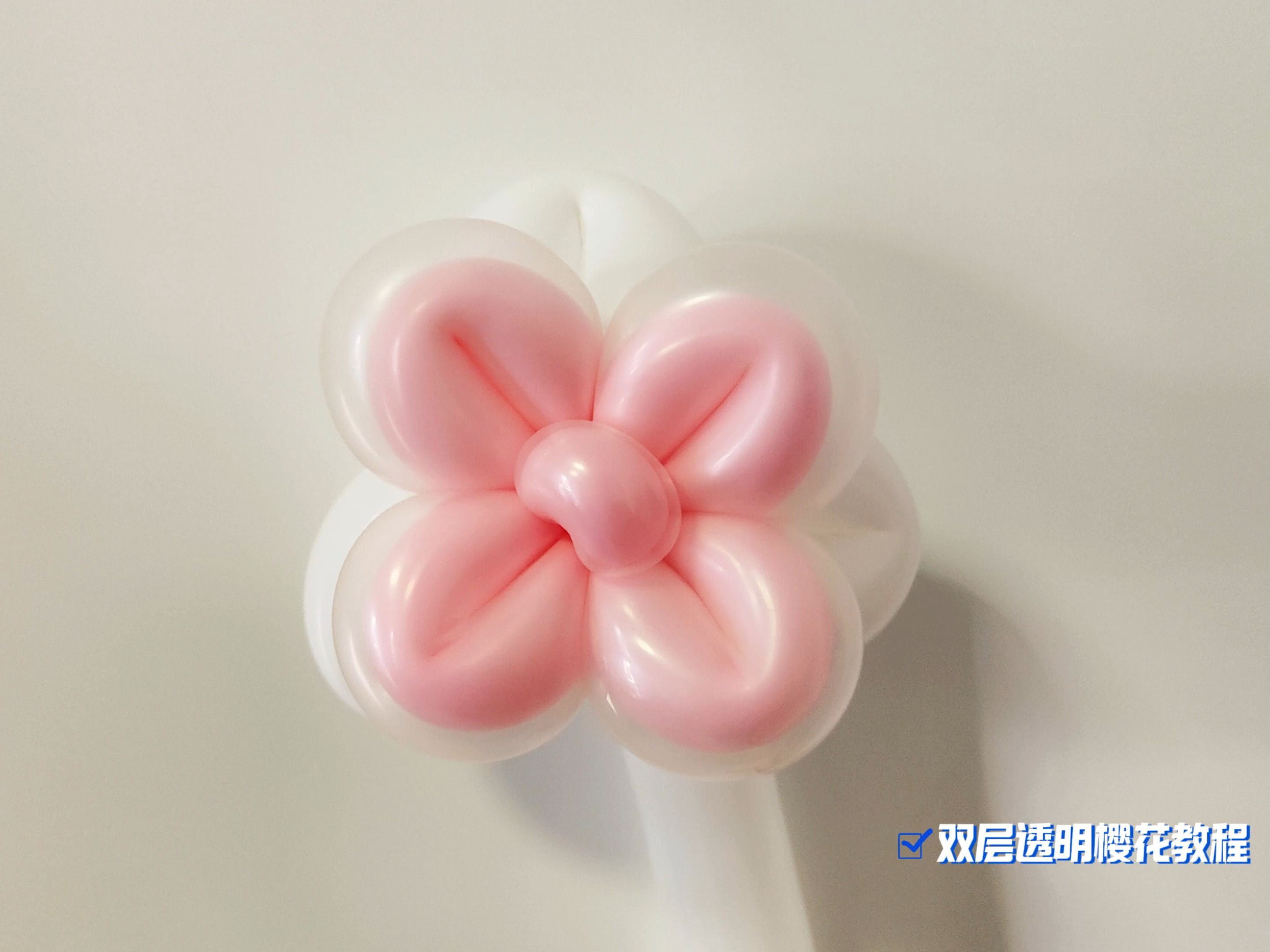 保护气球保护气球——守护我们共同的未来