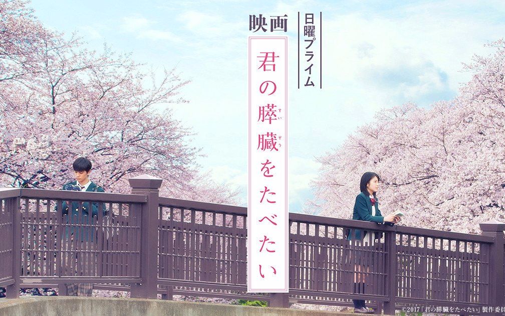 哔哩哔哩污版 湖南教育网哔哩哔哩污版APP的真相与危害