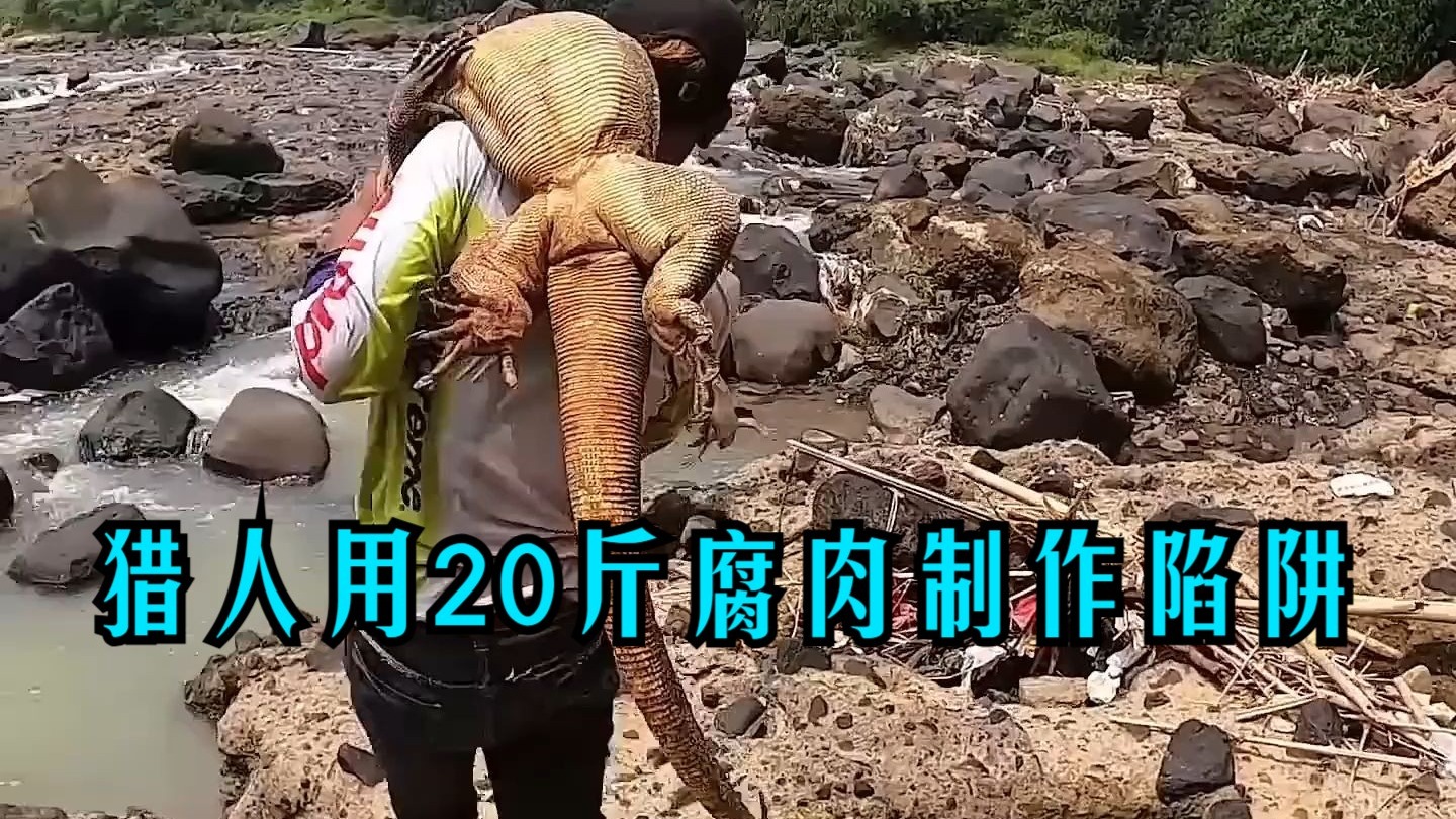 腐肉车车超多的双男主小说腐肉车，城市中的隐秘之谜-第2张图片