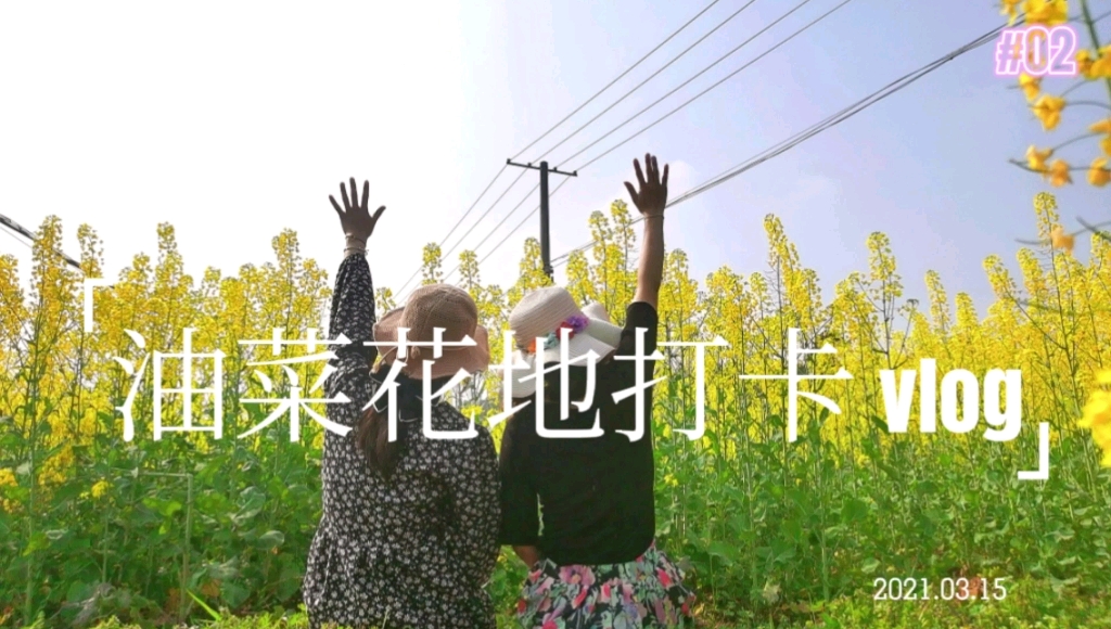春暖花开哔哩哔哩春暖花开下的性教育探索——旧版入口的启示