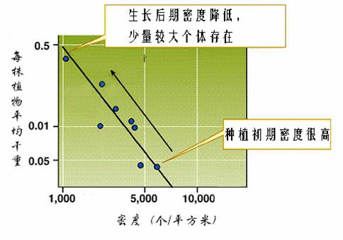 新手自W到高C的教程视频指南-第3张图片