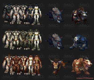 魔兽世界冒牌德鲁伊揭秘魔兽世界中的冒牌德鲁伊-第2张图片