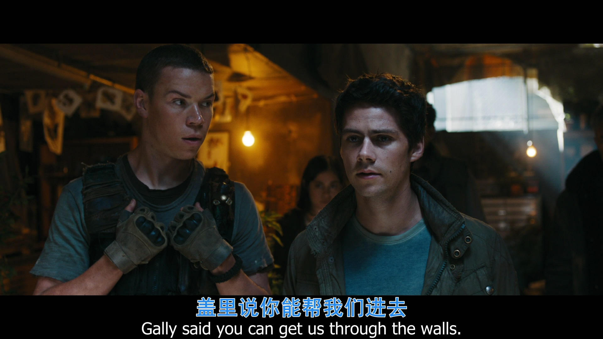 探索网络资源，关于天堂8在线资源与BT下载的探讨-第2张图片