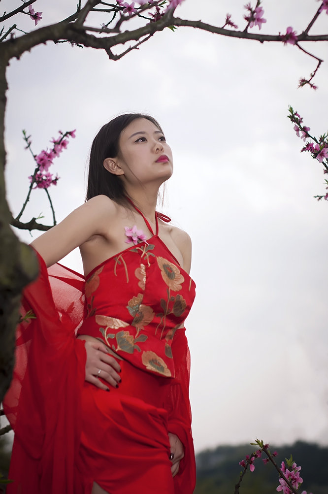 桃花族论坛——探索华族文化的独特魅力-第2张图片