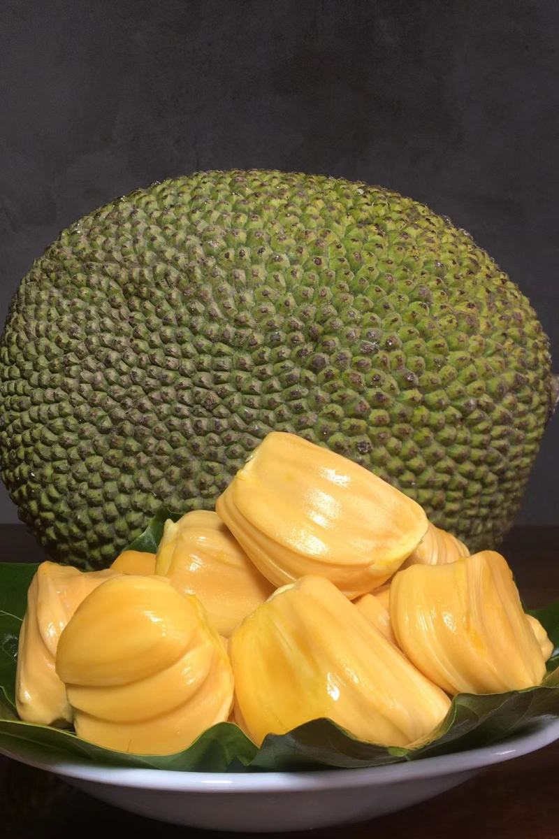 菠萝菠萝蜜视频播放高清免费菠萝菠萝蜜视频高清免费观看的乐趣之旅-第3张图片