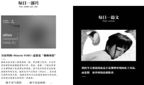 污API免费版下载，使用指南与注意事项