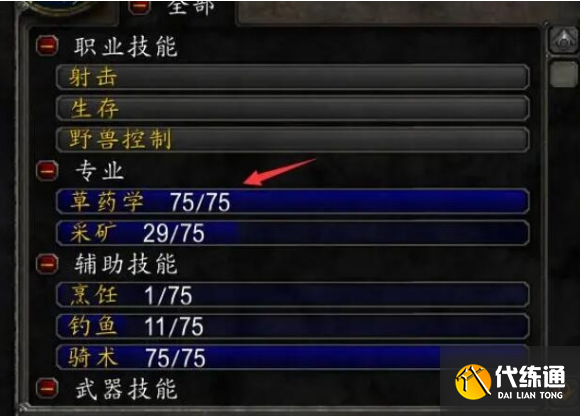 魔兽世界 法师输出深入解析魔兽世界中法师的输出技巧