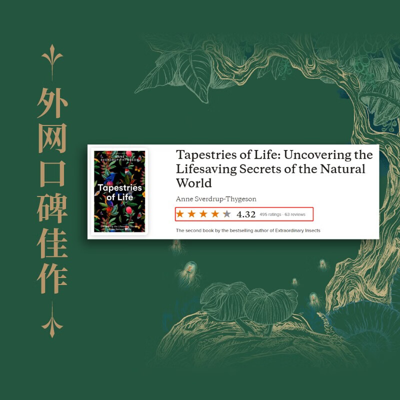 探索多元魅力——从麻豆精东乌鸦蜜桃天美果冻看现代审美文化-第1张图片