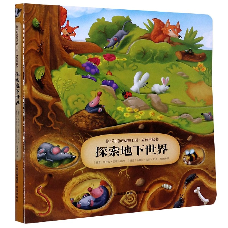 深岩之洲稀有坐骑刷新深岩之洲——探索未知的地下世界-第2张图片