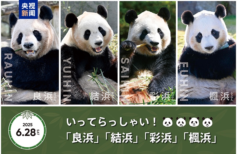 日本一本二本三区免费2019探索日本文化，一本二本三区免费资源详解（2019年）-第2张图片