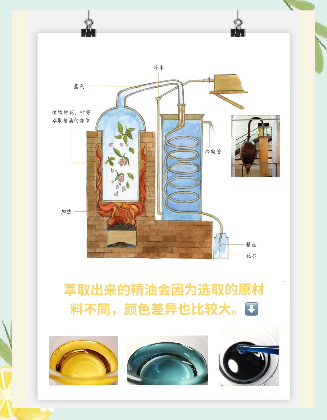精华液一二三产区的区别和优势精华液一二三产区的区别-第2张图片