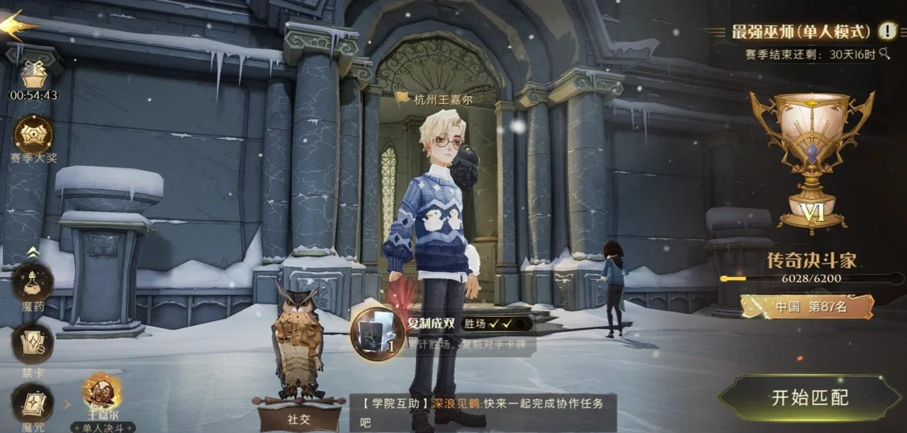 哈利波特魔法卡组，探索魔法世界的奥秘-第3张图片