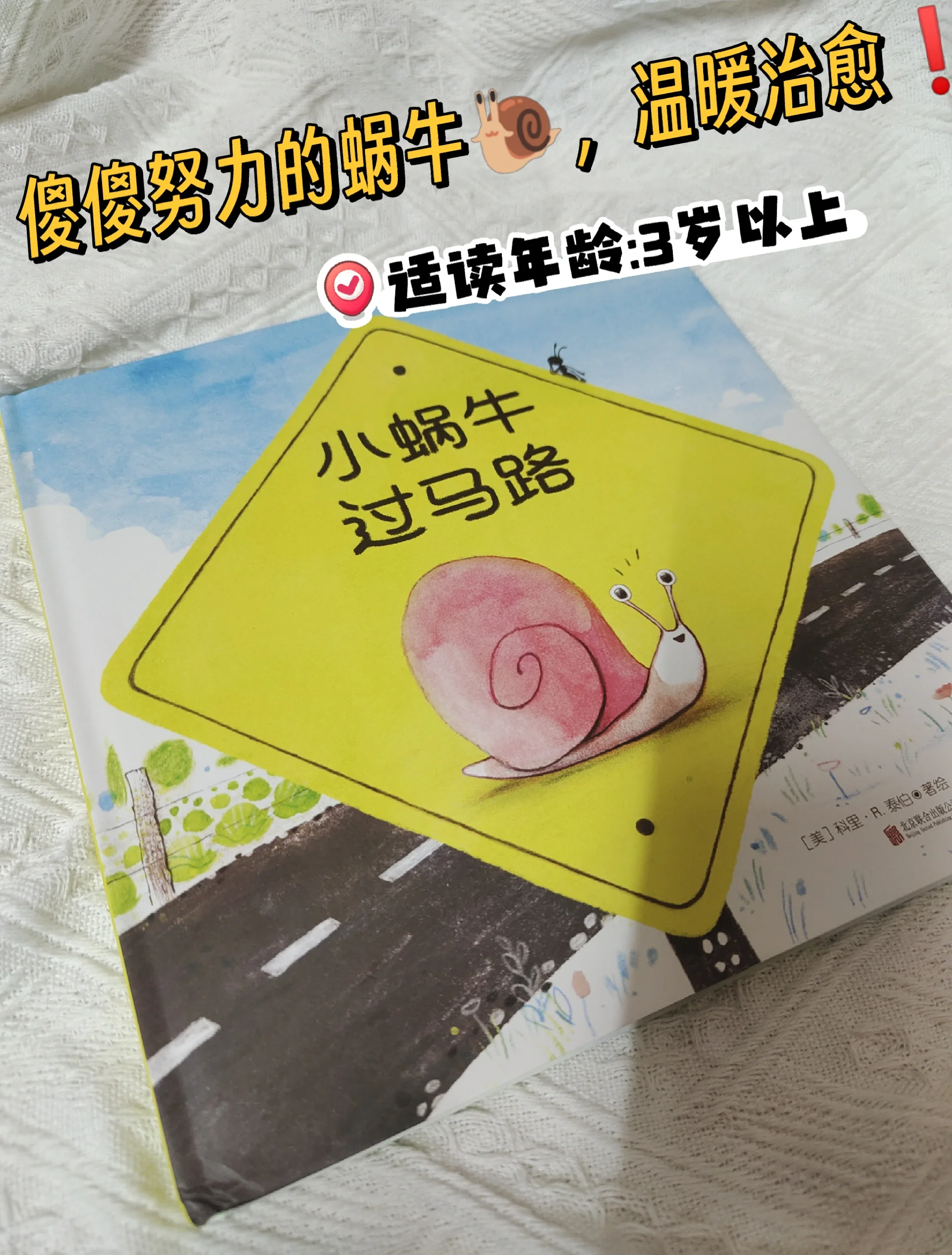 最强蜗牛与乌龟的奇妙冒险-第2张图片