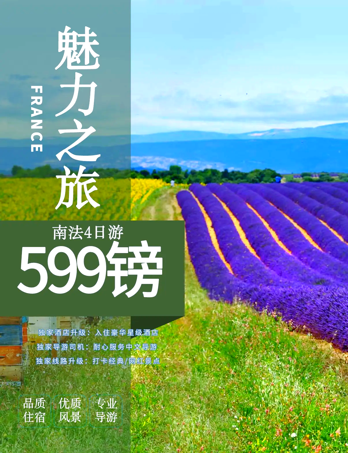 探索薰衣草的奥秘——免费进入薰衣草研究所在线网址-第2张图片