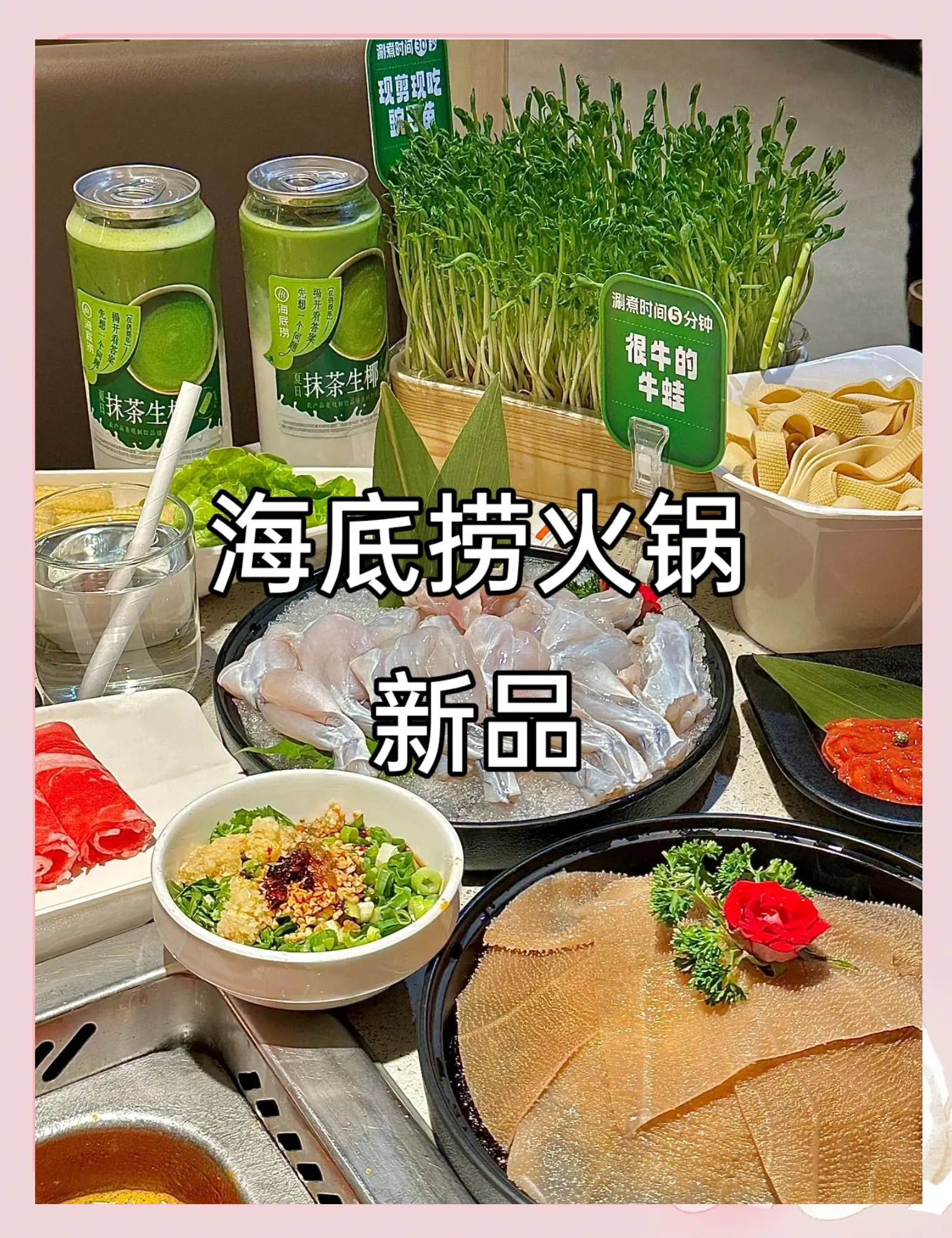 海底捞涨价后,会有更多餐饮企业效仿吗?海底捞涨价，市场反应与未来展望-第3张图片