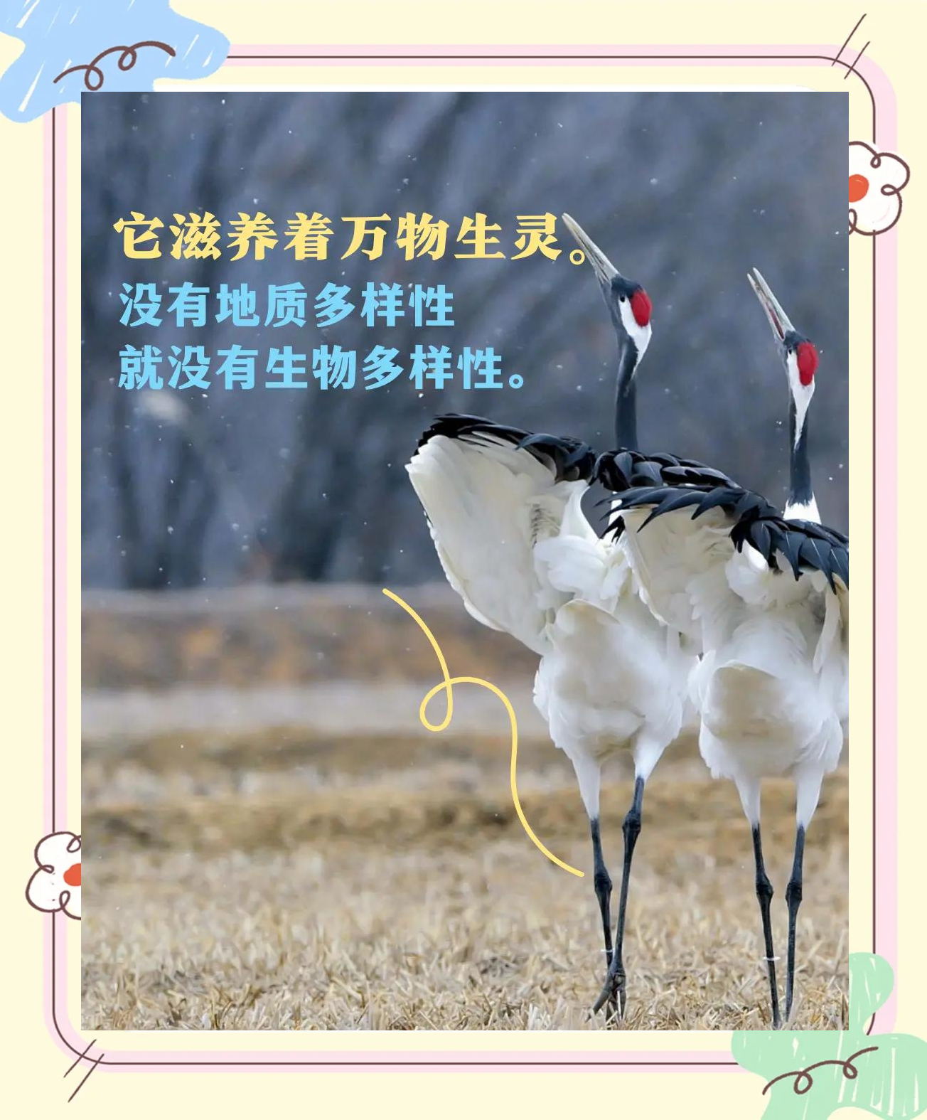 探索wallpaper官网的多样性与独特魅力-第2张图片