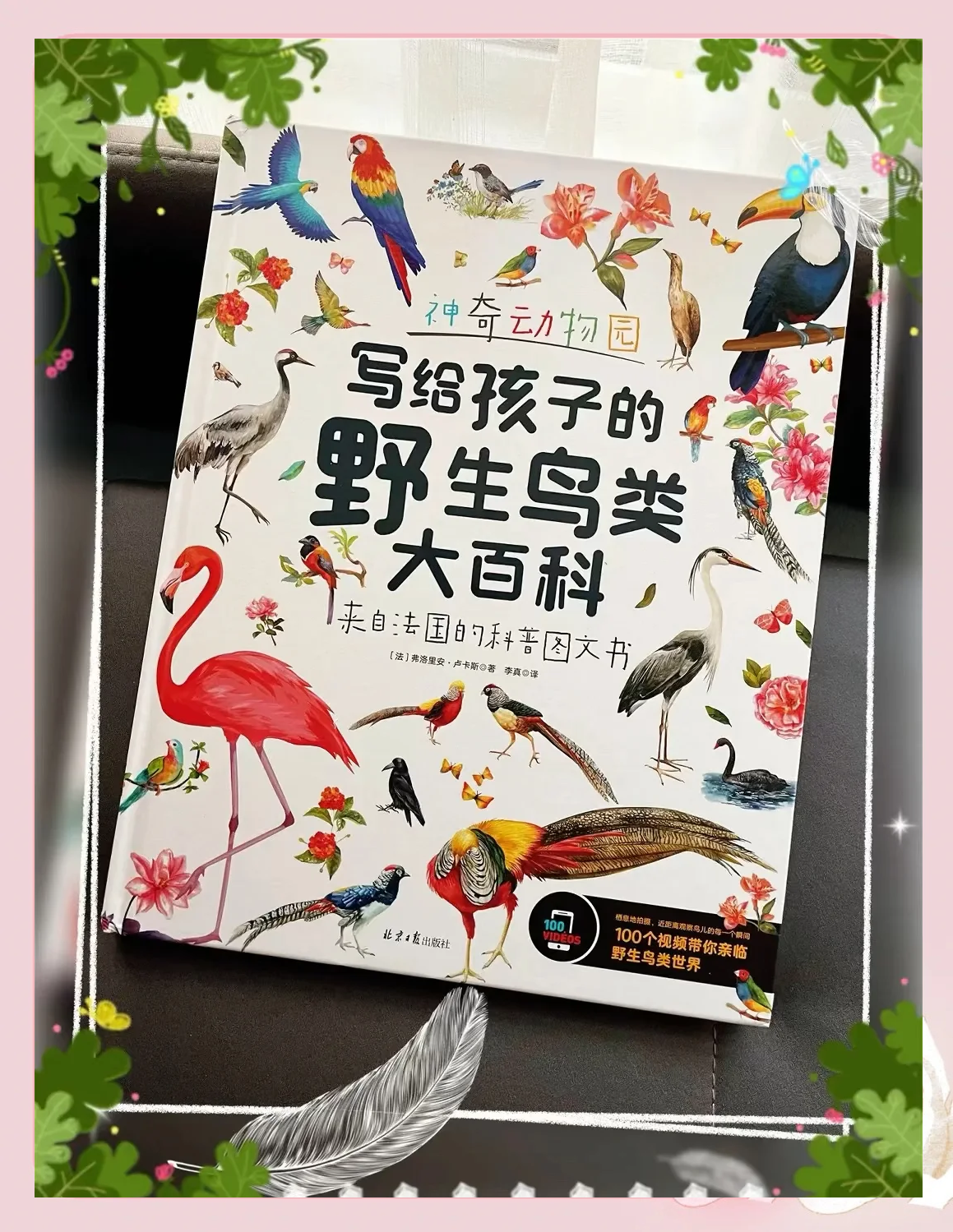 手指向下探索电影手指向下探索的奇妙之旅-第3张图片