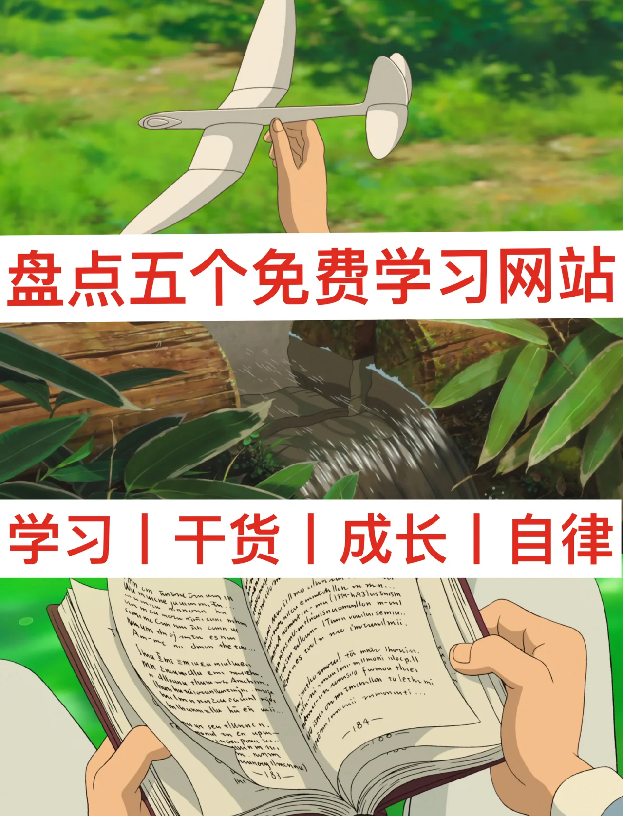 哔哩哔哩在线看网站链接哔哩哔哩，在线看网站的全新体验
