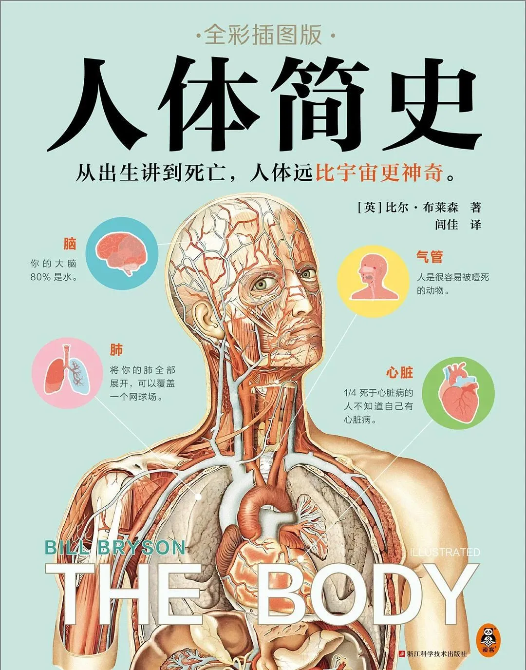 七七人体七七人体，探索人体奥秘的深度之旅-第2张图片