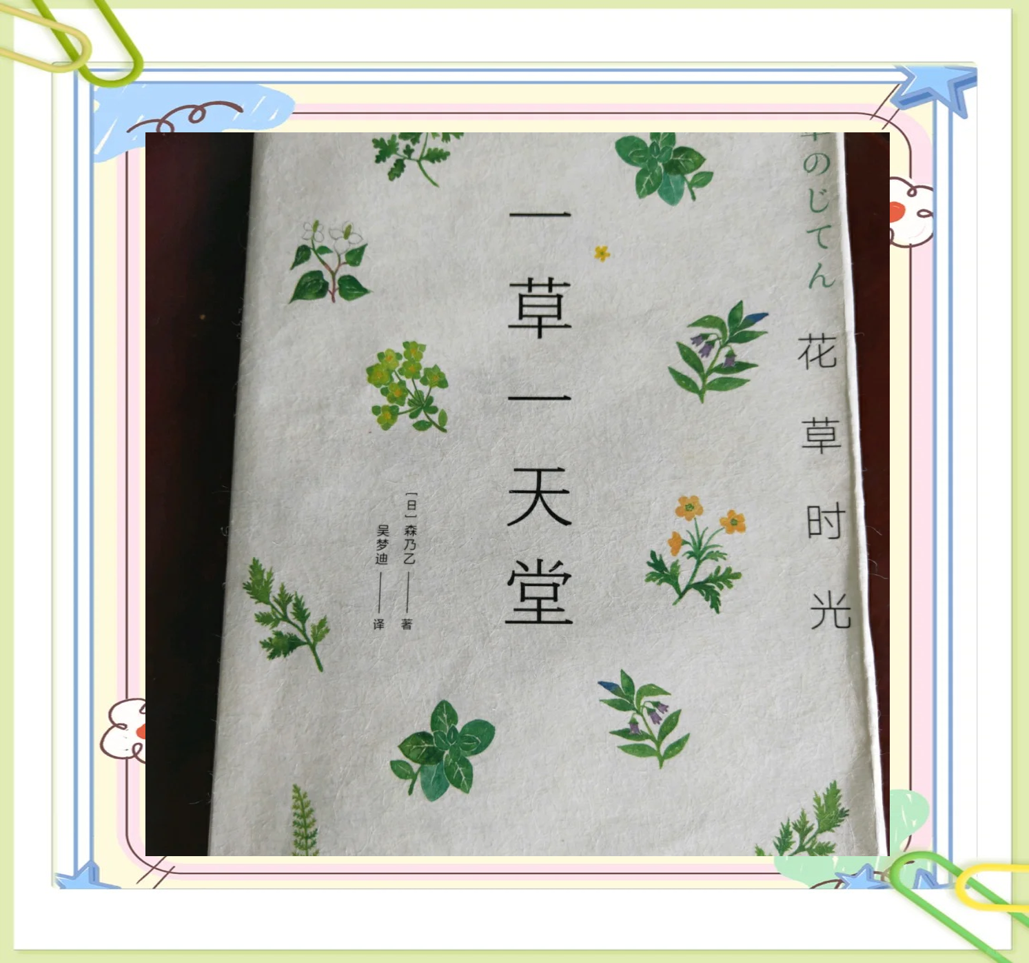 野草视频，免费中文资源探索