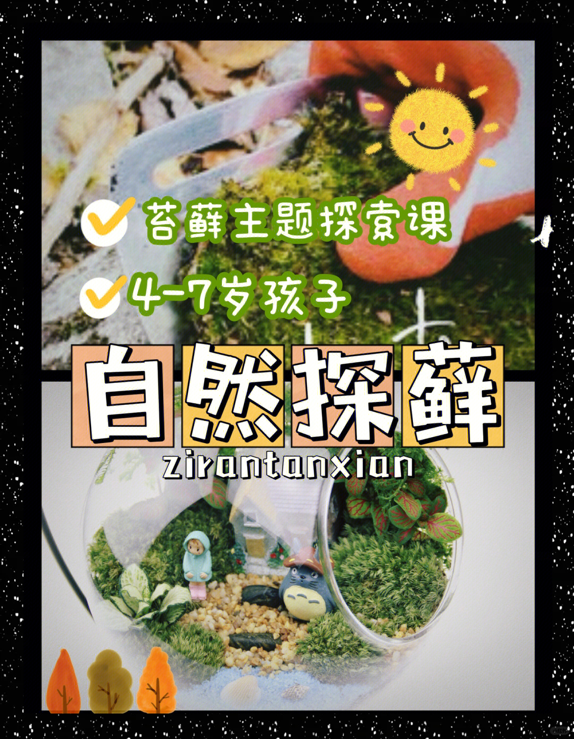 探索网络世界的奇妙之旅，菠萝菠萝蜜Www免费