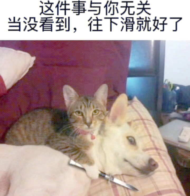 扒衣服扒衣服现象的背后与思考-第2张图片