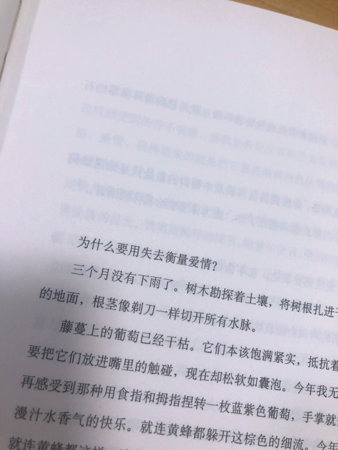 纯H的BL小说，情感与欲望的交织