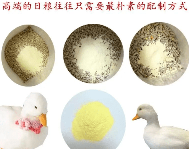 关于一晚上几次能否喂饱的问题探讨