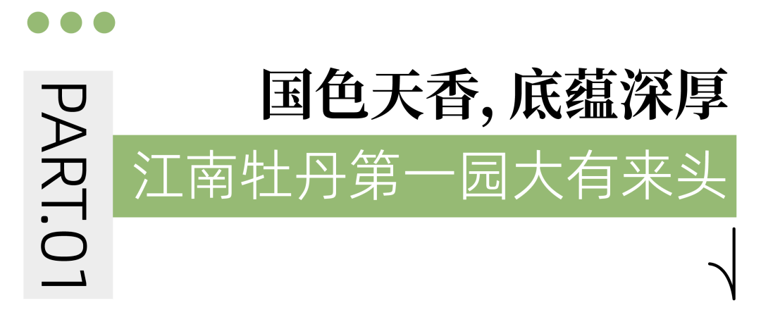 国色天香A区与B区，两处景致之异同-第1张图片