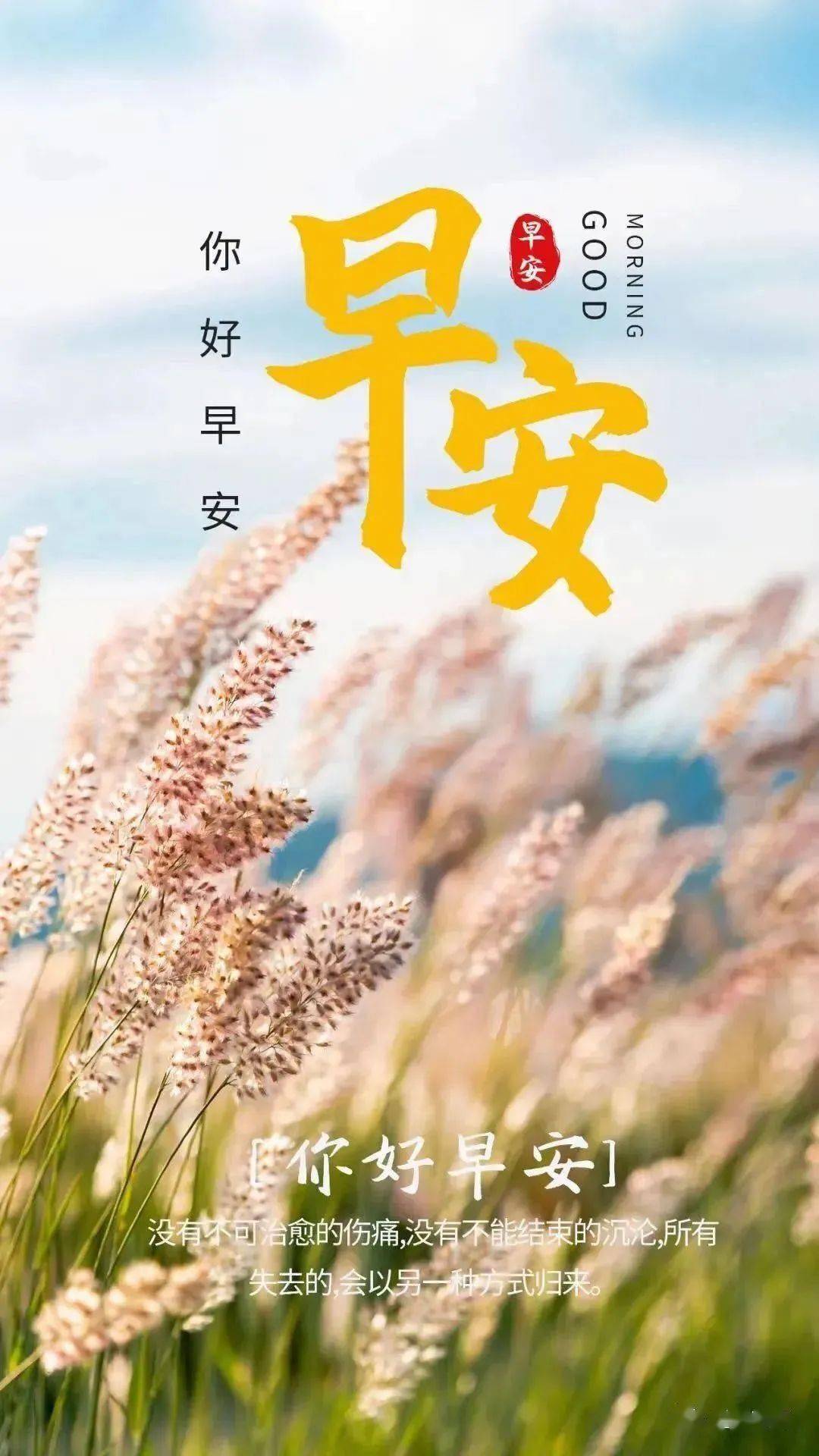 花季传媒免费网站入口下载视频探索花季传媒免费网站，一个充满创意与激情的数字世界-第2张图片