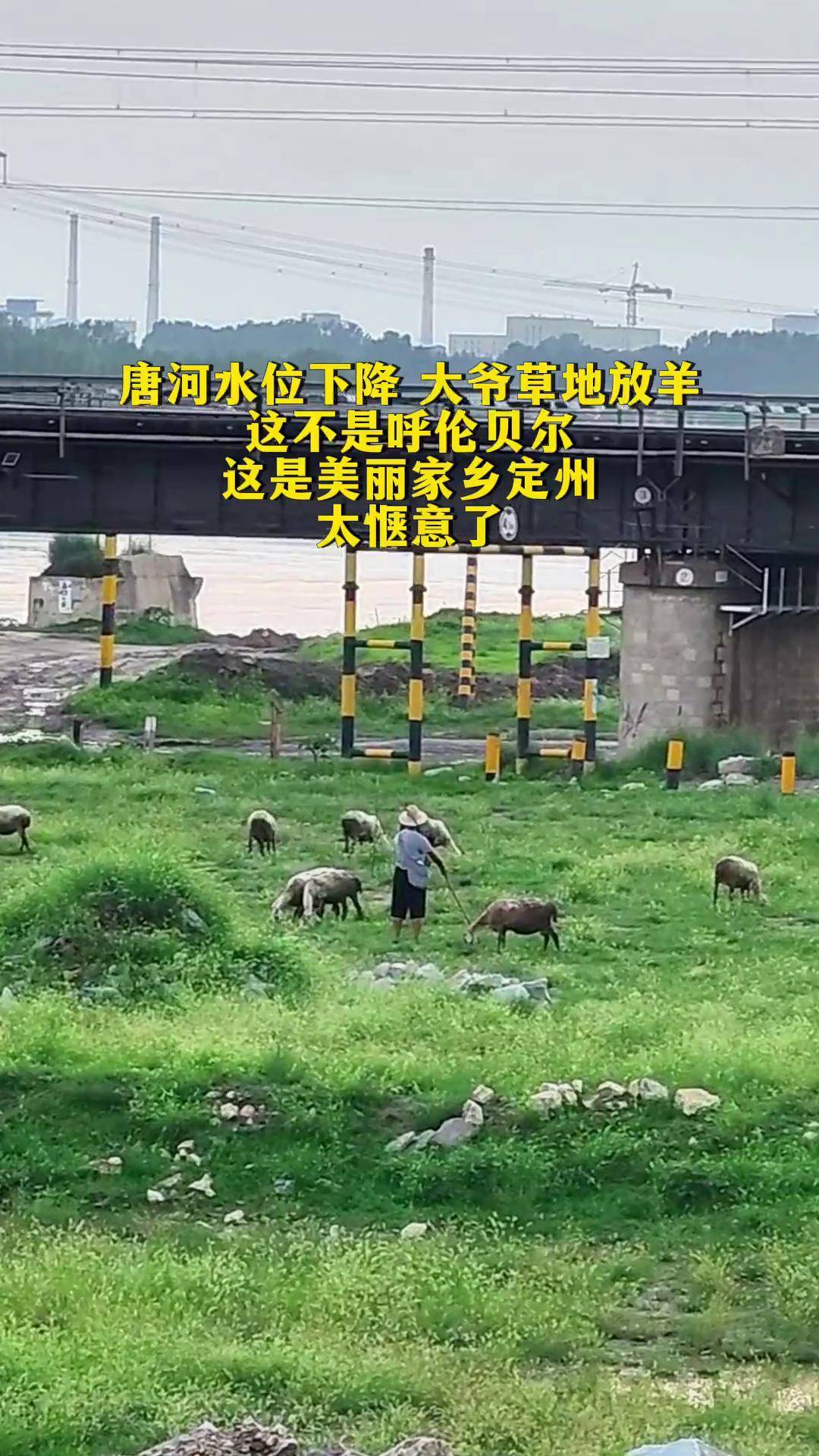 草地上的意外，女子拔出一大爷的奇妙经历-第3张图片