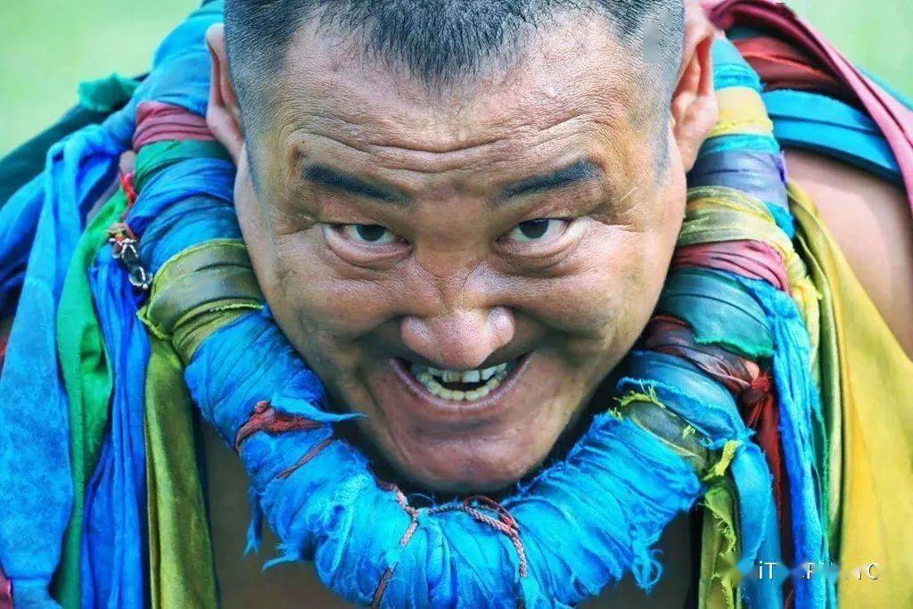 野花韩国视频免费高清观看的探索之旅