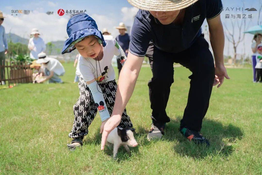 农场牧场游戏农场牧场偷匪最新版，一场刺激的防卫与挑战-第1张图片