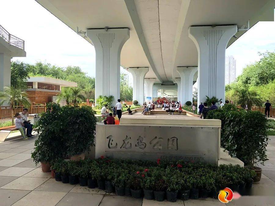 飞龙岛飞龙岛的神秘之旅-第2张图片